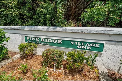 1225 Pine Ridge Circle W #A2, Tarpon Springs, FL 34688 - Photo 52