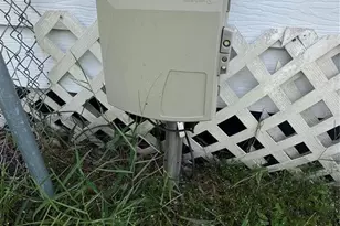 2903 Williams Blvd, Valrico, FL 33596 - Photo 18