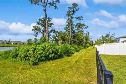 31854 Asbury Avenue, Wesley Chapel, FL 33545 - Photo 56