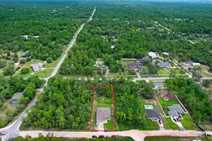 12290 Quigley Ave, Brooksville, FL 34614 - Photo 32