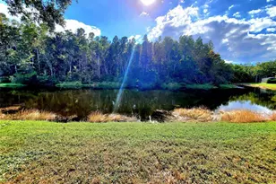 382 Waterford Cir E, Tarpon Springs, FL 34688 - Photo 56