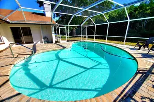 382 Waterford Cir E, Tarpon Springs, FL 34688 - Photo 56