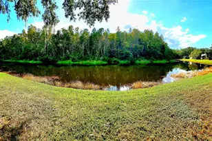 382 Waterford Cir E, Tarpon Springs, FL 34688 - Photo 2