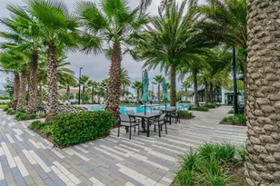 [Address not provided], Odessa, FL 33556 - Photo 46