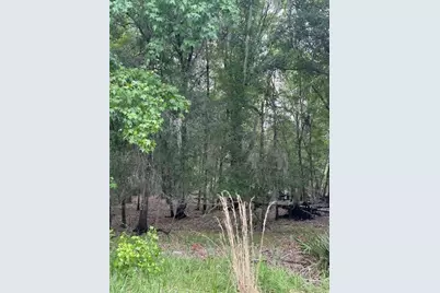 0 Palamino Lake Drive, Dade City, FL 33523 - Photo 1