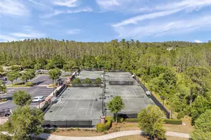 4446 Ortona Ln, Wesley Chapel, FL 33543 - Photo 98