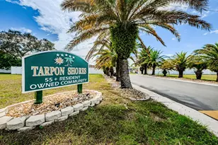 239 Harmony Way, Tarpon Springs, FL 34689 - Photo 34