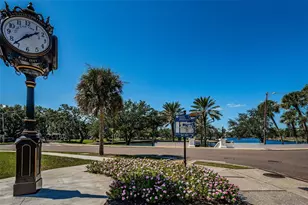 239 Harmony Way, Tarpon Springs, FL 34689 - Photo 66