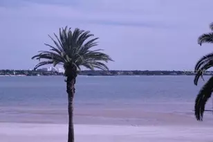 855 Bayway Blvd, Clearwater Beach, FL 33767 - Photo 36