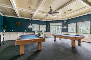 1011 S Pointe Alexis Dr, Tarpon Springs, FL 34689 - Photo 70