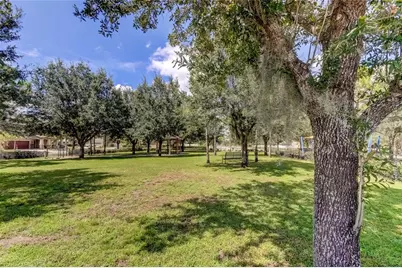 21851 Lyonia Lane, Land O Lakes, FL 34637 - Photo 72