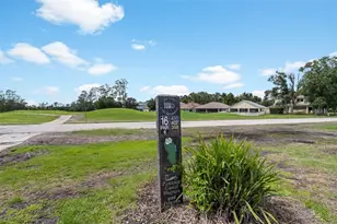 5909 Wedgefield Dr, Zephyrhills, FL 33541 - Photo 38