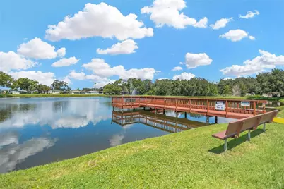 34310 Lodge Drive, Wesley Chapel, FL 33543 - Photo 30