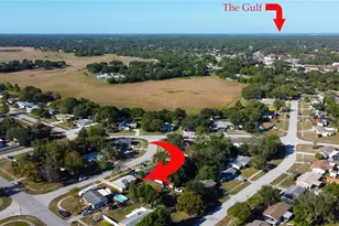 9325 Pinero St, Spring Hill, FL 34608 - Photo 54