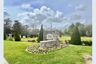 1045 Blue Jay Drive, Davenport, FL 33837 - Photo 2