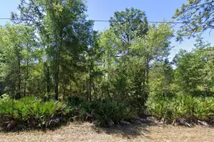 7350 W Village Dr, Homosassa, FL 34446 - Photo 1