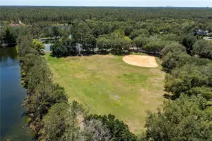 9117 Woodridge Run Dr, Tampa, FL 33647 - Photo 80