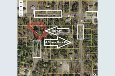 0024 Guava Pass Drive, Ocklawaha, FL 32179 - Photo 4