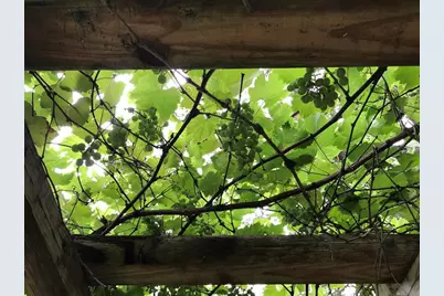 1880 Belleair Road, Clearwater, FL 33764 - Photo 34