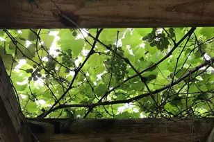 1880 Belleair Rd, Clearwater, FL 33764 - Photo 34