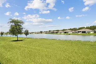 17784 Turning Leaf Cir, Land O Lakes, FL 34638 - Photo 14