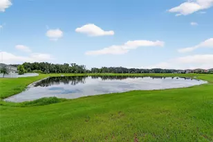 12820 French Market Dr, Riverview, FL 33579 - Photo 46