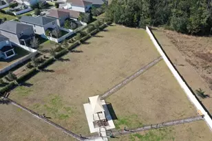 34176 Verbena St, Wesley Chapel, FL 33545 - Photo 30