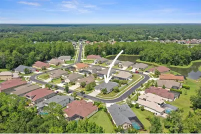 27211 Hawks Nest Circle, Wesley Chapel, FL 33544 - Photo 54
