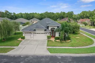 27211 Hawks Nest Cir, Wesley Chapel, FL 33544 - Photo 1