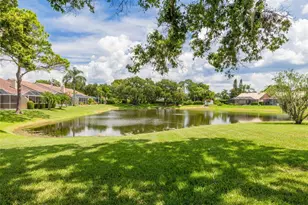 3815 Muirfield Ct, Palm Harbor, FL 34685 - Photo 28