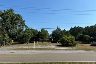 17897 Boy Scout Rd, Odessa, FL 33556 - Photo 1