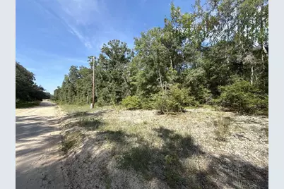 Gloria Avenue, Interlachen, FL 32148 - Photo 2