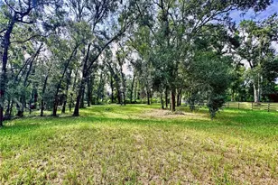 35174 Roth Ln, Dade City, FL 33525 - Photo 6