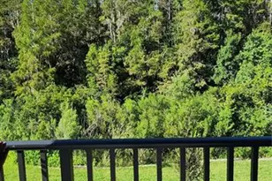 29868 Picana Ln, Wesley Chapel, FL 33543 - Photo 16