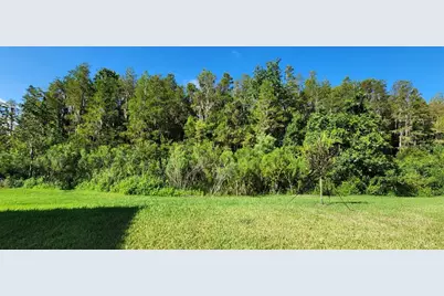 29868 Picana Lane, Wesley Chapel, FL 33543 - Photo 54
