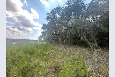 449 450 & E1/2 Lot 451 SW Shorewood Drive, Dunnellon, FL 34431 - Photo 6