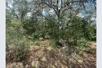 452 453 & W1/2 Lot 451 2208 SW Shorewood Dr Drive, Dunnellon, FL 34431 - Photo 4