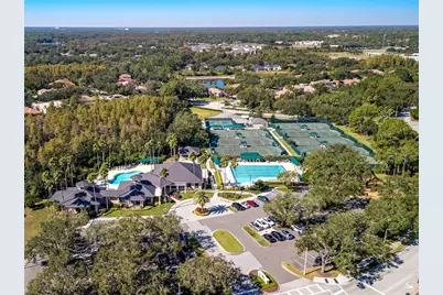 17890 Arbor Greene Drive, Tampa, FL 33647 - Photo 60