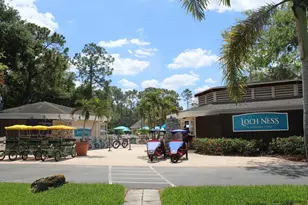 36750 US Hwy 19 N, Palm Harbor, FL 34684 - Photo 10