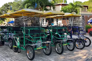 36750 US Hwy 19 N, Palm Harbor, FL 34684 - Photo 12