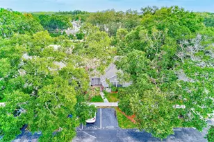 2728 Bentley Dr, Palm Harbor, FL 34684 - Photo 56