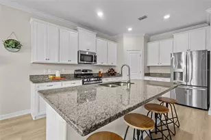 17349 Cruiser Bnd, Land O Lakes, FL 34638 - Photo 4