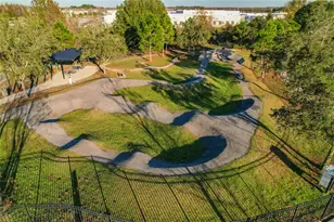 17349 Cruiser Bnd, Land O Lakes, FL 34638 - Photo 50