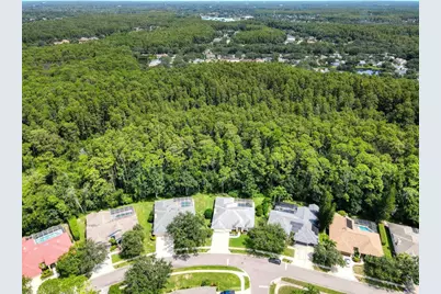 4125 Kirkaldy Drive, Palm Harbor, FL 34685 - Photo 2