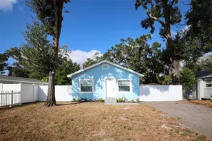 1513 W Mohawk Ave, Tampa, FL 33603 - Photo 1