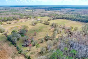 14890 Cr 757, Webster, FL 33597 - Photo 18