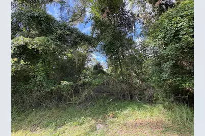 Lucilles Shady Lane, Nobleton, FL 34661 - Photo 22