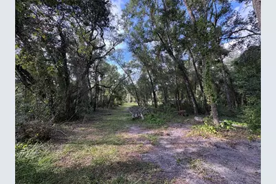 Lucilles Shady Lane, Nobleton, FL 34661 - Photo 18