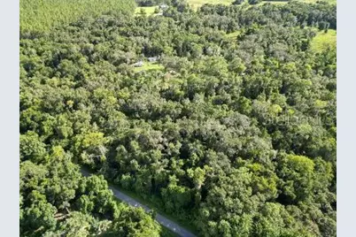 Lucilles Shady Lane, Nobleton, FL 34661 - Photo 66