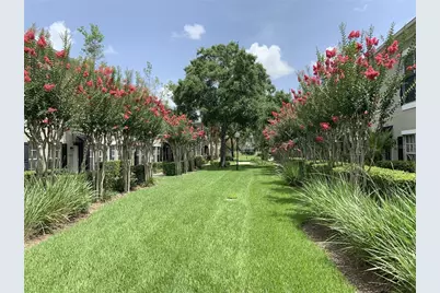 10010 Old Haven Way, Tampa, FL 33624 - Photo 2